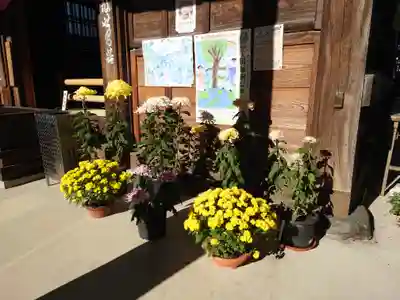 今宮坊(埼玉県)