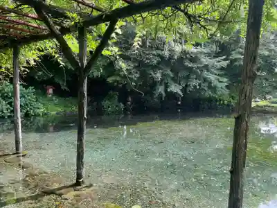 富士山本宮浅間大社(静岡県)