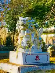 鹿嶋神社の狛犬