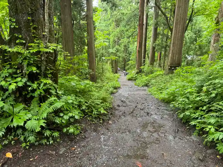 戸隠神社奥社(長野県)