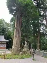 戸隠神社中社(長野県)