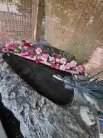 厚別神社の{uncategorized: "未分類", other: "その他", undefined: "問題あり", building: "その他建物", grave: "お墓", sacred_gate: "鳥居", guardian: "狛犬", statue: "像", buddha: "仏像", history: "歴史", nature: "自然", garden: "庭園", animal: "動物", pagoda: "塔", temizu: "手水舎", mountain_gate: "山門・神門", sanctuary: "本殿・本堂", subordinate: "末社・摂社", art: "芸術", scenery: "景色", jizo: "地蔵", ema: "絵馬", goshuin: "御朱印", omikuji: "おみくじ", items: "授与品その他", amulet: "お守り", goshuincho: "御朱印帳", eats: "食事", festival: "お祭り", votive_dance: "神楽", shichigosan: "七五三参", wedding: "結婚式", experience: "体験その他", initially: "初詣", around: "周辺", anti_infection: "感染症対策"}