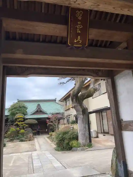 薬師寺の山門・神門