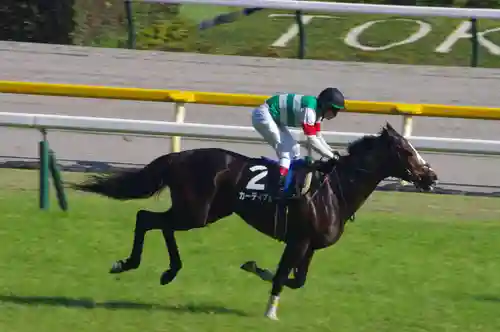 東京競馬場馬頭観音(東京都)