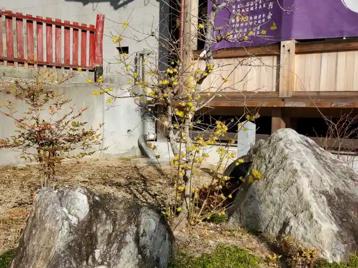 神吉八幡神社の自然