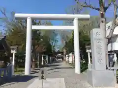 新琴似神社の鳥居