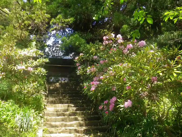 浄光明寺の庭園