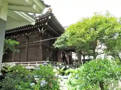 白山神社の本殿・本堂