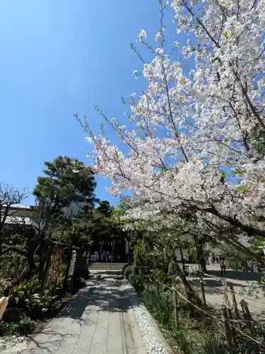 鳩森八幡神社(東京都)