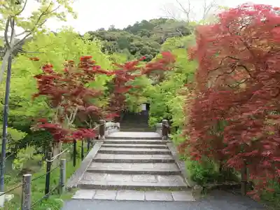 禅林寺(永観堂)(京都府)