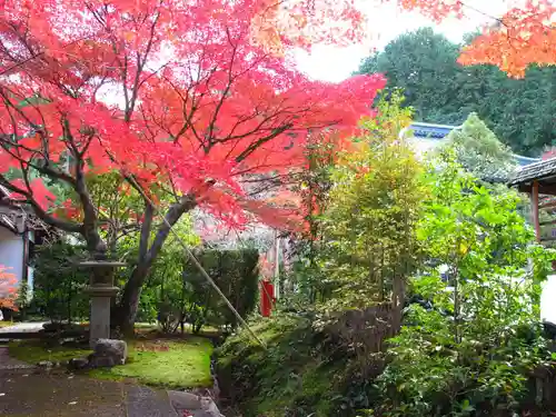 安養寺のその他建物