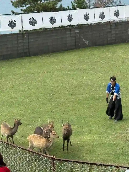 金華山黄金山神社(宮城県)