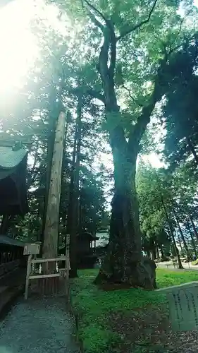 諏訪大社(長野県)