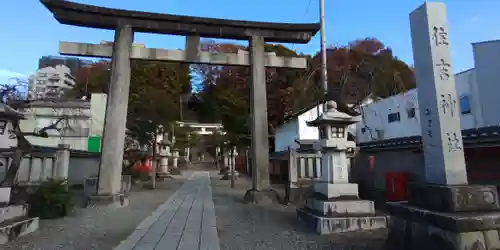 住吉神社の鳥居