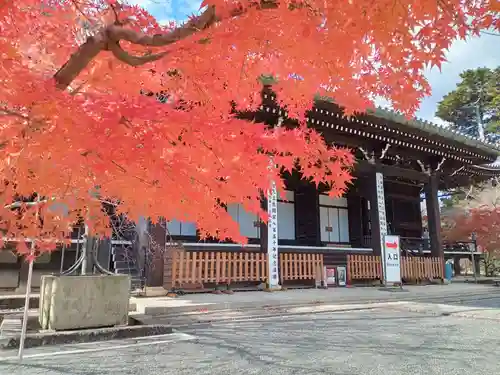 光明寺（粟生光明寺）(京都府)