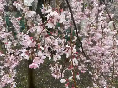 大國魂神社(東京都)