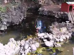 世田谷八幡宮(東京都)