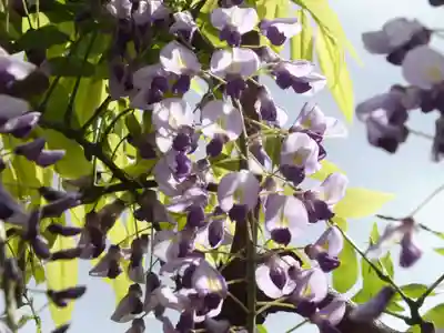 志那神社の自然