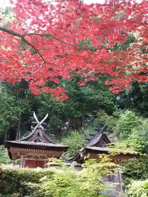 円成寺のその他建物