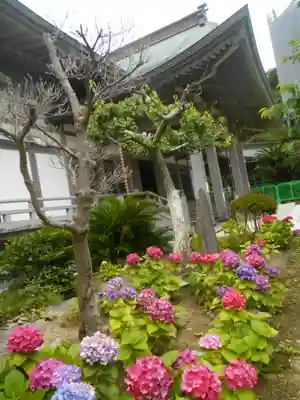 光明寺のその他建物