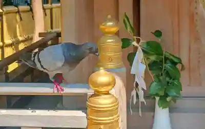 気象神社(東京都)