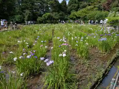 本土寺(千葉県)