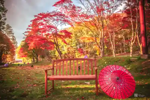 遠野郷八幡宮(岩手県)