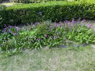 大恩寺(京都府)