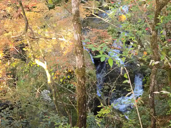 元伊勢天岩戸神社(京都府)