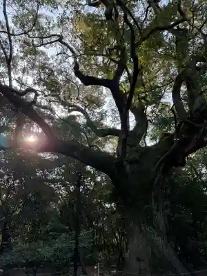 伊勢神宮外宮（豊受大神宮）の{uncategorized: "未分類", other: "その他", undefined: "問題あり", building: "その他建物", grave: "お墓", sacred_gate: "鳥居", guardian: "狛犬", statue: "像", buddha: "仏像", history: "歴史", nature: "自然", garden: "庭園", animal: "動物", pagoda: "塔", temizu: "手水舎", mountain_gate: "山門・神門", sanctuary: "本殿・本堂", subordinate: "末社・摂社", art: "芸術", scenery: "景色", jizo: "地蔵", ema: "絵馬", goshuin: "御朱印", omikuji: "おみくじ", items: "授与品その他", amulet: "お守り", goshuincho: "御朱印帳", eats: "食事", festival: "お祭り", votive_dance: "神楽", shichigosan: "七五三参", wedding: "結婚式", experience: "体験その他", initially: "初詣", around: "周辺", anti_infection: "感染症対策"}