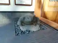 増上寺塔頭 三縁山 宝珠院の狛犬