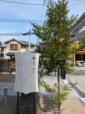 出雲大社埼玉分院(埼玉県)