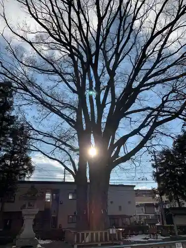 住吉神社の建物その他