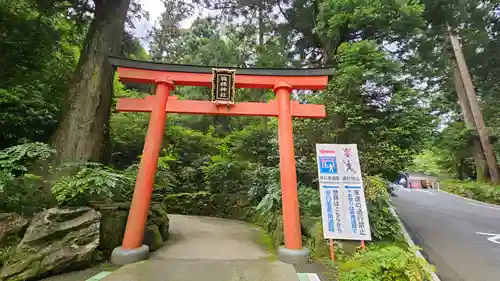 箱根神社の鳥居