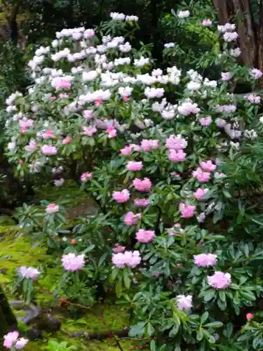 金剛輪寺(滋賀県)