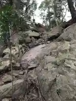 大甕神社の自然