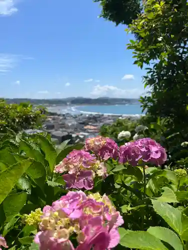 長谷寺の景色