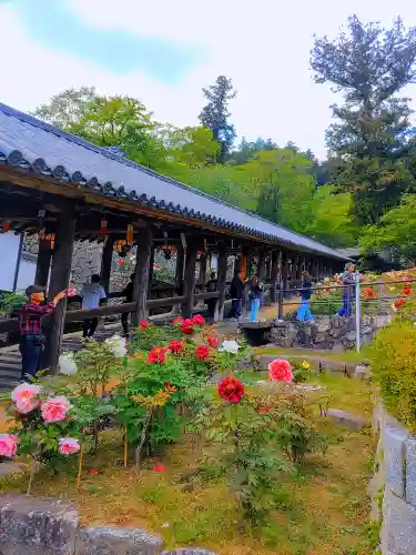 長谷寺の自然