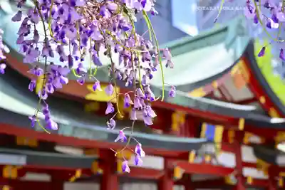 日枝神社(東京都)