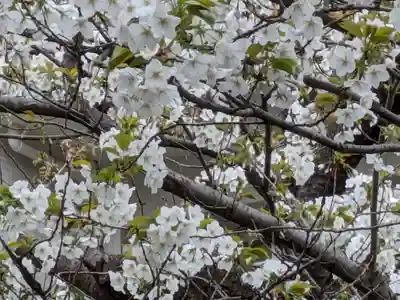 玉眞院玉川大師(東京都)