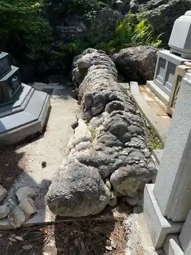 金剛福寺(高知県)