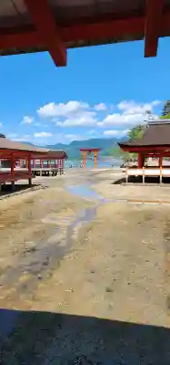 厳島神社の{uncategorized: "未分類", other: "その他", undefined: "問題あり", building: "その他建物", grave: "お墓", sacred_gate: "鳥居", guardian: "狛犬", statue: "像", buddha: "仏像", history: "歴史", nature: "自然", garden: "庭園", animal: "動物", pagoda: "塔", temizu: "手水舎", mountain_gate: "山門・神門", sanctuary: "本殿・本堂", subordinate: "末社・摂社", art: "芸術", scenery: "景色", jizo: "地蔵", ema: "絵馬", goshuin: "御朱印", omikuji: "おみくじ", items: "授与品その他", amulet: "お守り", goshuincho: "御朱印帳", eats: "食事", festival: "お祭り", votive_dance: "神楽", shichigosan: "七五三参", wedding: "結婚式", experience: "体験その他", initially: "初詣", around: "周辺", anti_infection: "感染症対策"}
