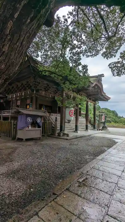 金刀比羅宮の本殿・本堂