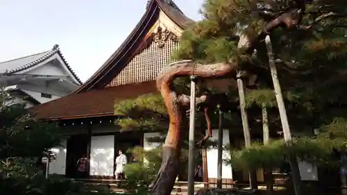 大覚寺(京都府)