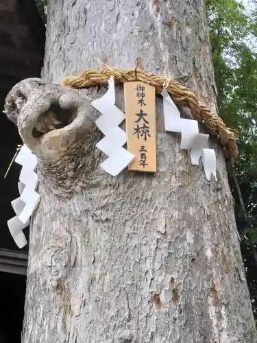 相模国総社六所神社(神奈川県)