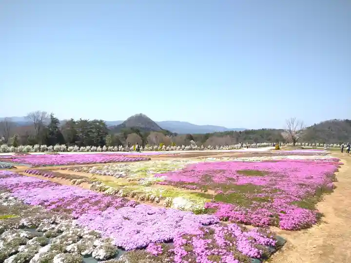 巳徳神社の周辺