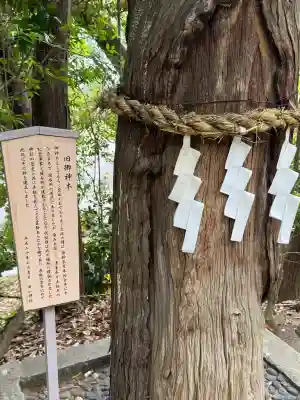 白山神社（二子町）の{uncategorized: "未分類", other: "その他", undefined: "問題あり", building: "その他建物", grave: "お墓", sacred_gate: "鳥居", guardian: "狛犬", statue: "像", buddha: "仏像", history: "歴史", nature: "自然", garden: "庭園", animal: "動物", pagoda: "塔", temizu: "手水舎", mountain_gate: "山門・神門", sanctuary: "本殿・本堂", subordinate: "末社・摂社", art: "芸術", scenery: "景色", jizo: "地蔵", ema: "絵馬", goshuin: "御朱印", omikuji: "おみくじ", items: "授与品その他", amulet: "お守り", goshuincho: "御朱印帳", eats: "食事", festival: "お祭り", votive_dance: "神楽", shichigosan: "七五三参", wedding: "結婚式", experience: "体験その他", initially: "初詣", around: "周辺", anti_infection: "感染症対策"}