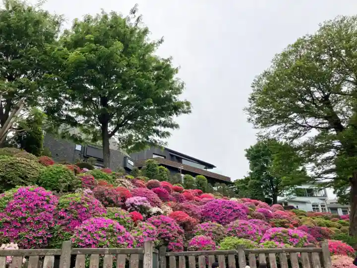 根津神社(東京都)