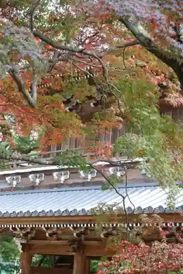 功山寺(山口県)