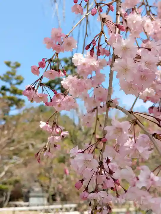 智積院(京都府)